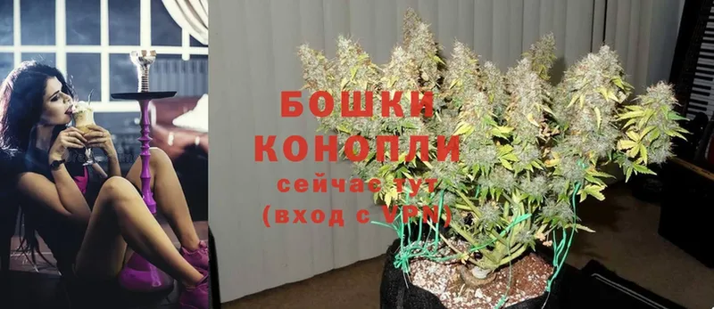 цены наркотик  Петухово  Конопля SATIVA & INDICA 